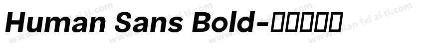 Human Sans Bold字体转换